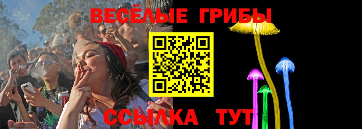 Майский  как найти   Вход с VPN  Псилоцибиновые грибы Magic Shrooms 
